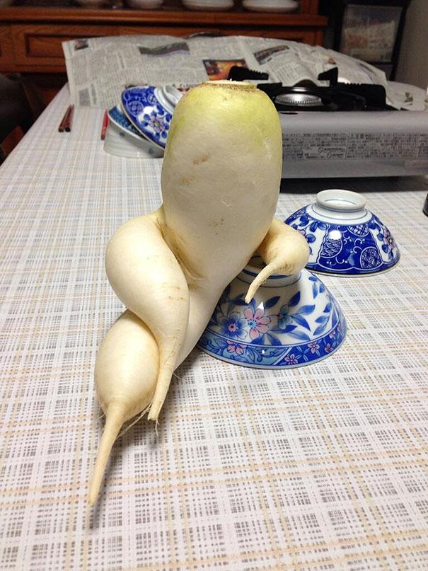 funny-shaped-vegetables-fruits-1