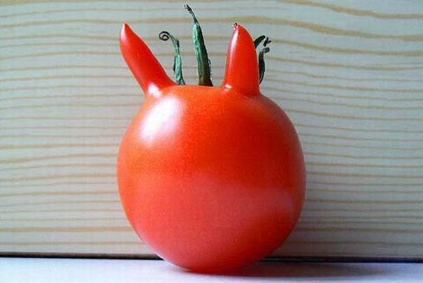 funny-shaped-vegetables-fruits-5