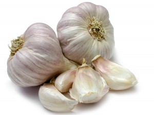 garlic1