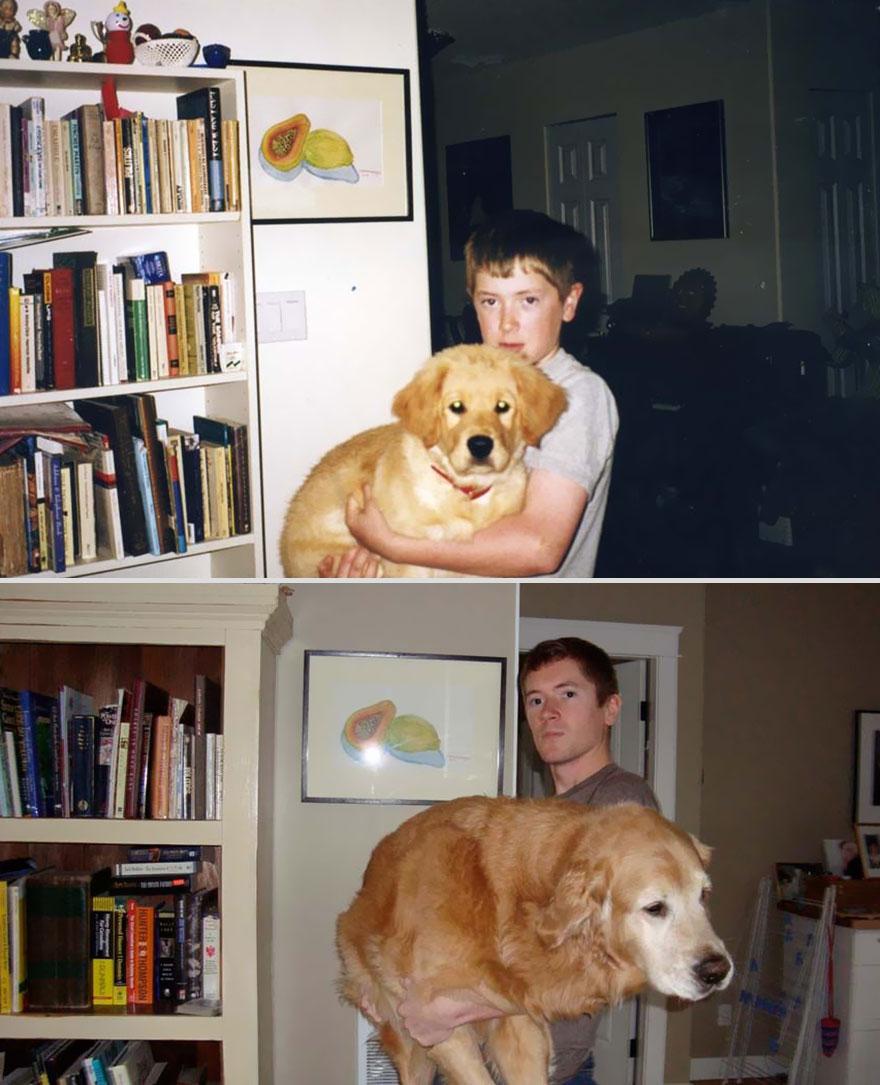 pets-before-after-22