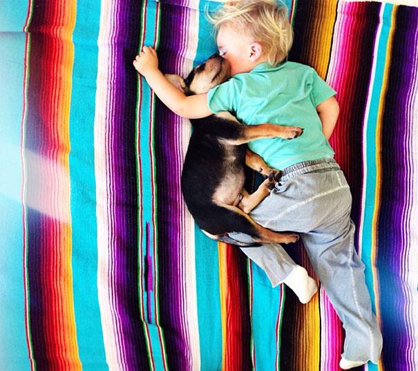 toddler-naps-with-puppy-theo-and-beau-10