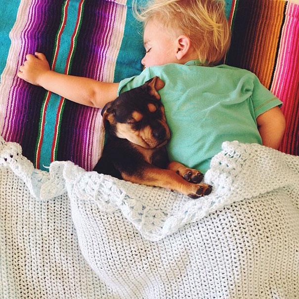 toddler-naps-with-puppy-theo-and-beau-11
