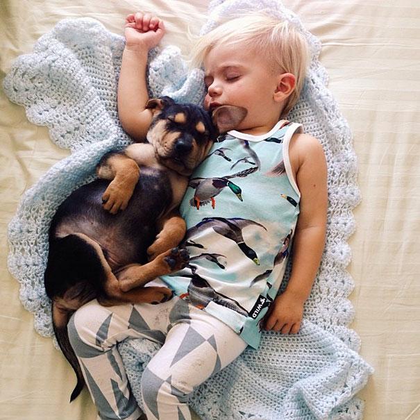 toddler-naps-with-puppy-theo-and-beau-12