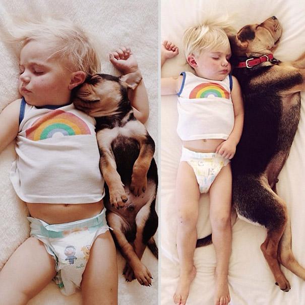 toddler-naps-with-puppy-theo-and-beau-2-1