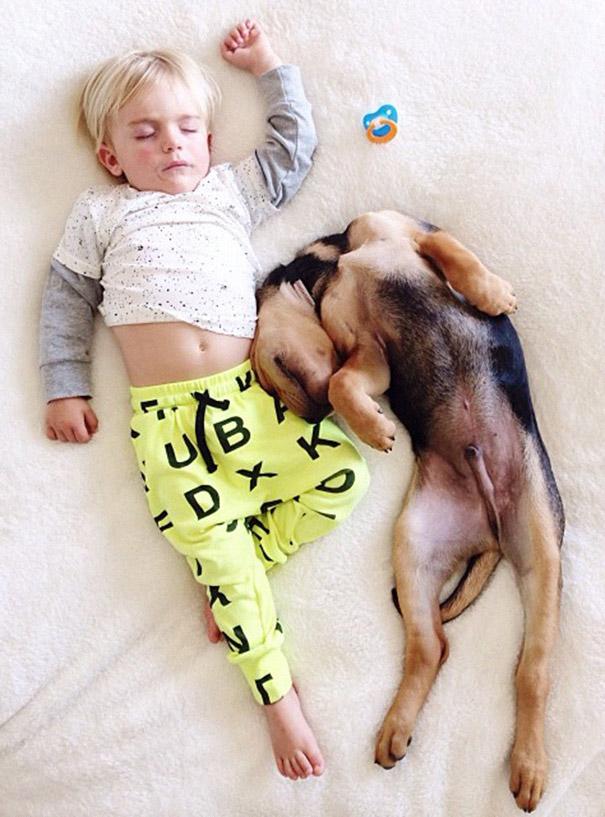 toddler-naps-with-puppy-theo-and-beau-2-12