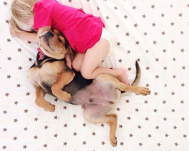 toddler-naps-with-puppy-theo-and-beau-2-15