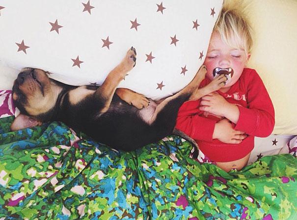 toddler-naps-with-puppy-theo-and-beau-2