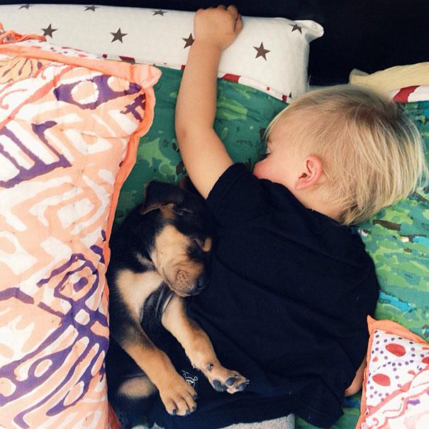 toddler-naps-with-puppy-theo-and-beau-3