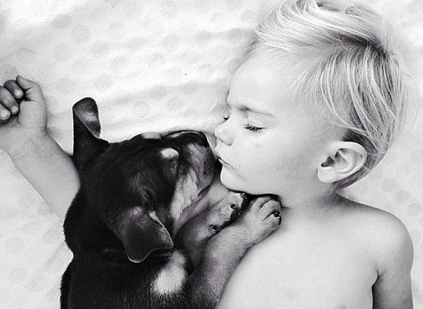 toddler-naps-with-puppy-theo-and-beau-8